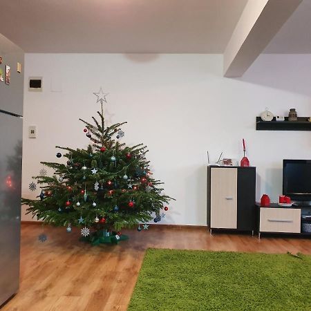 Gloria Apartament Διαμέρισμα Μπάια Μάρε Εξωτερικό φωτογραφία